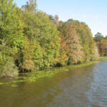 Lake Talquin